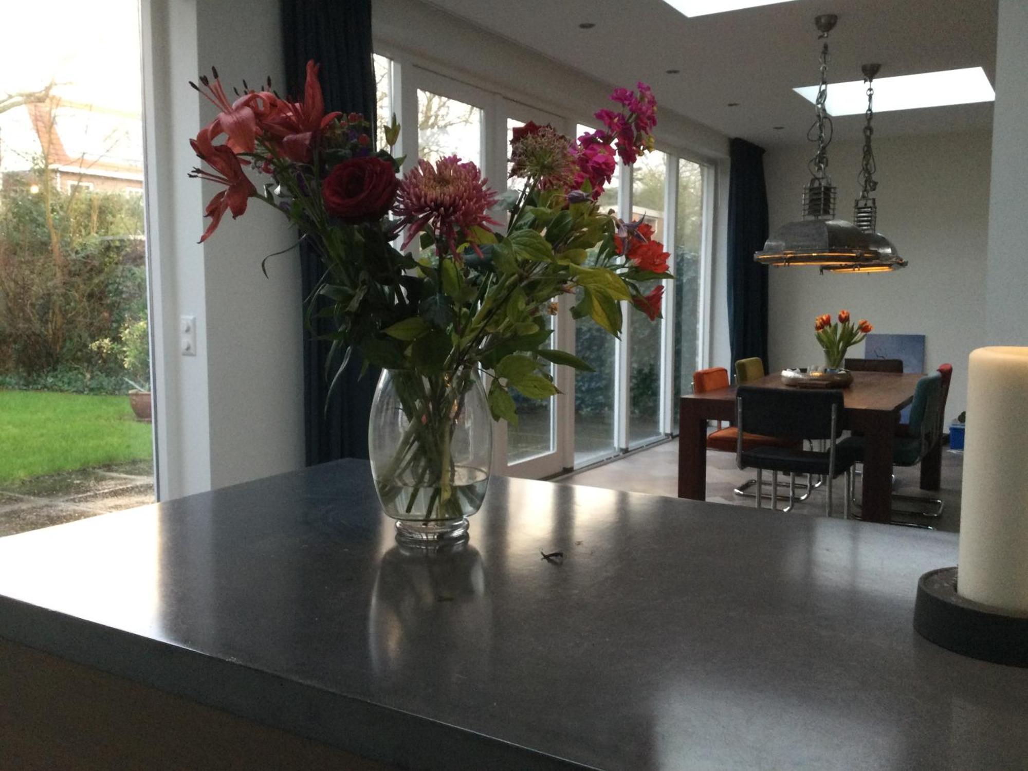 Villa Cosy Central Incl Jacuzzi Near Trainstation, Beach And City Heemstede Ngoại thất bức ảnh